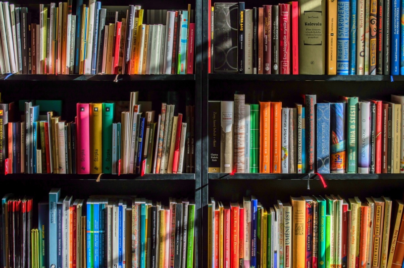 magasin-LA CADIERE D AZUR-min_books_bookstore_book_reading_shop_writer_sale_books_read-822866